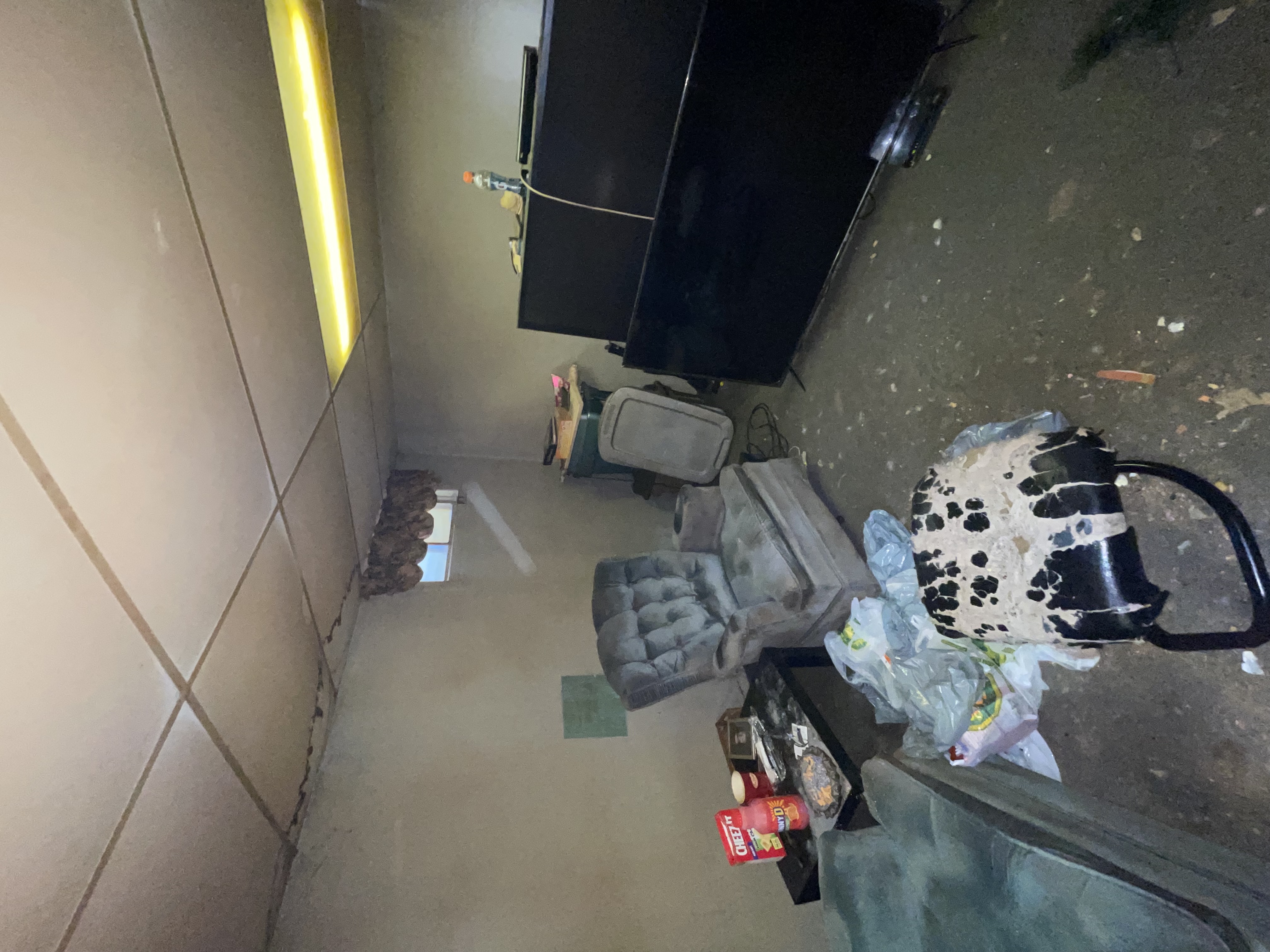 Dramatically dated basement with drop ceiling and clutter clearly documents pre-renovation state — excellent before/after storytelling potential — Gateshead, Hamilton | MTC Renovations